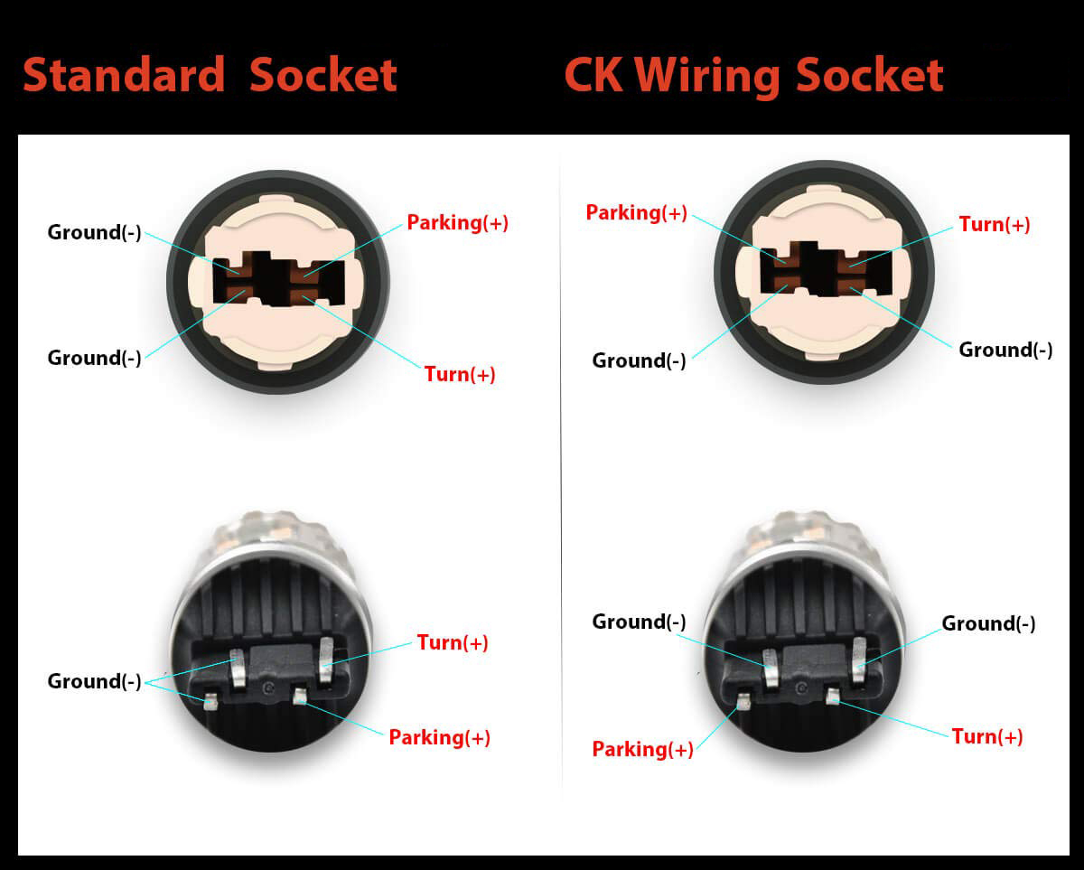 different bulb sockets